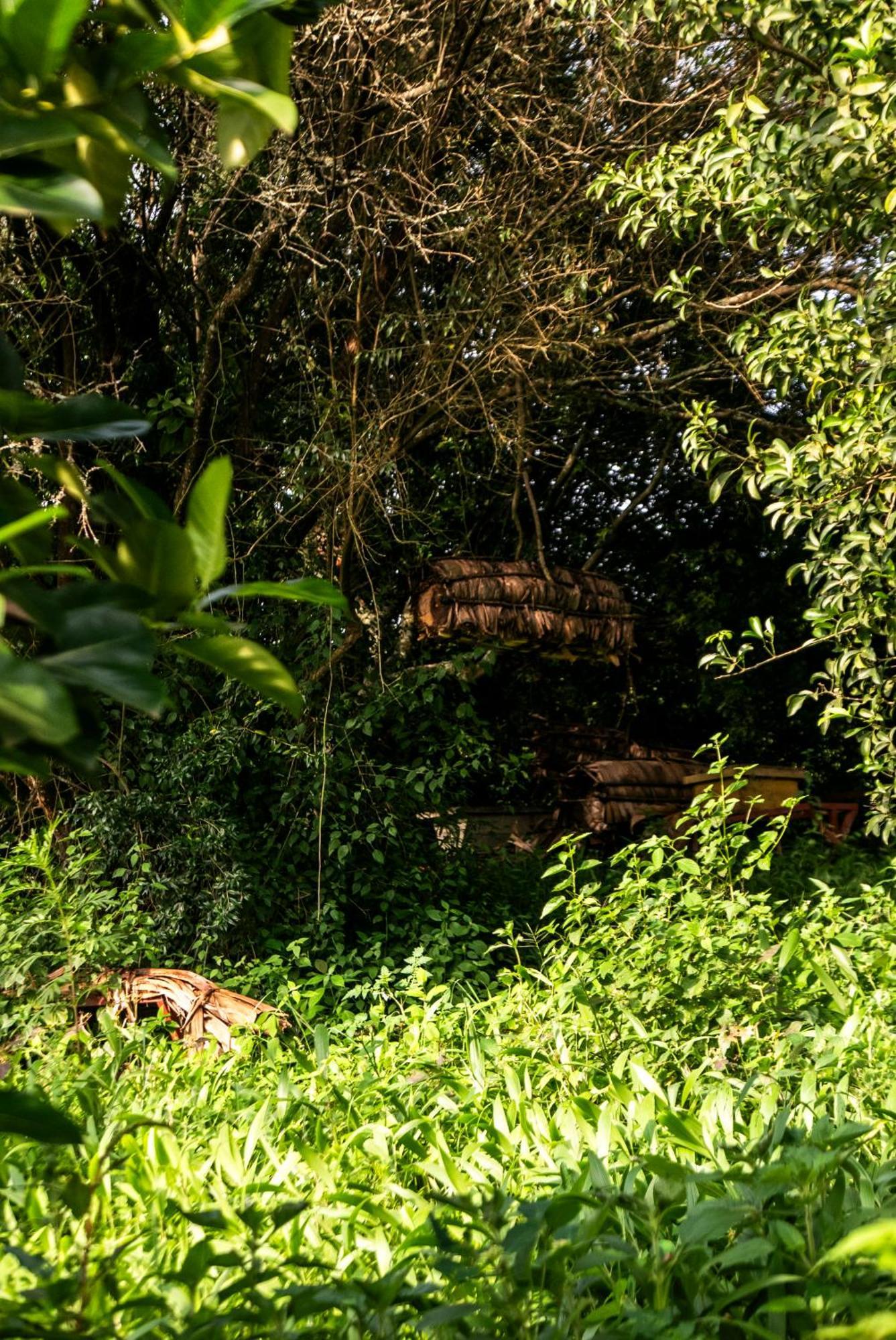 Akagera Transit Lodge Exterior foto
